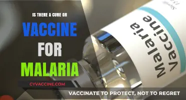 Malaria Cure and Vaccine: Current Status and Future Prospects