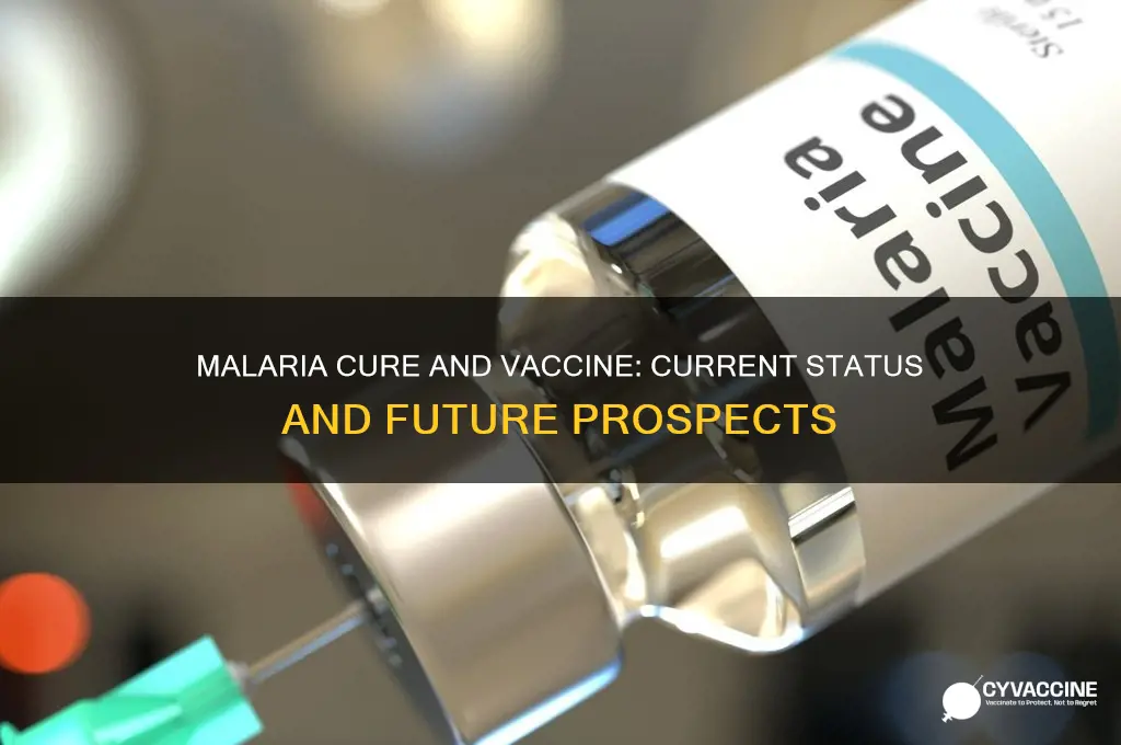 is there a cure or vaccine for malaria