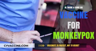 Monkeypox Cure or Vaccine: Current Treatments and Prevention Strategies