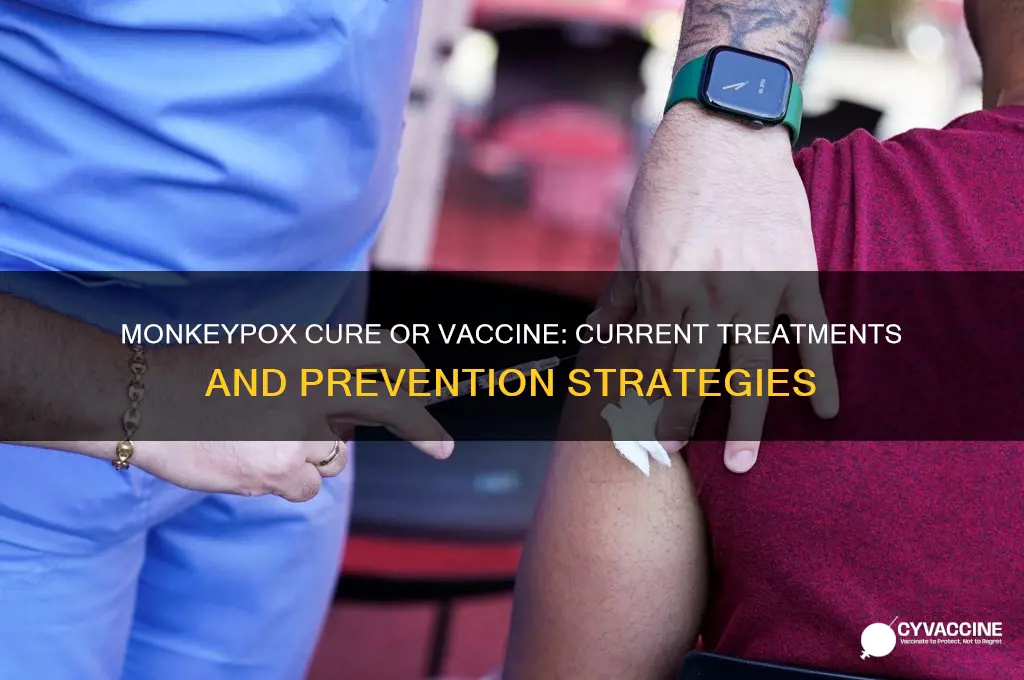 is there a cure or vaccine for monkeypox