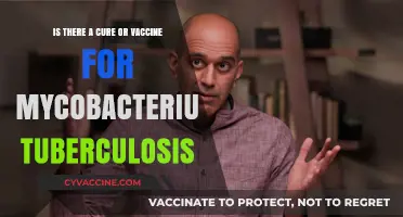 Tuberculosis Treatment: Exploring Cures and Vaccine Developments for Mycobacterium