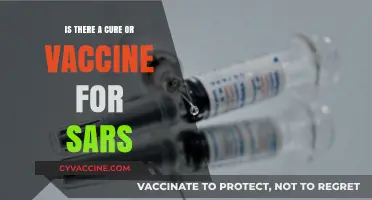 Exploring SARS: Current Treatments, Vaccine Developments, and Future Prospects