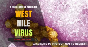 West Nile Virus: Exploring Treatment Options and Vaccine Developments