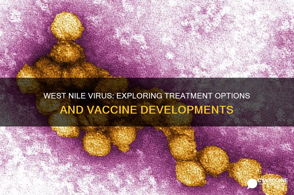is there a cure or vaccine for west nile virus