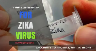 Zika Virus: Current Treatments, Vaccine Progress, and Prevention Strategies