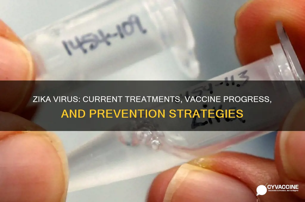 is there a cure or vaccine for zika virus