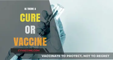 Exploring the Quest for a Cure: Vaccines and Treatments Unveiled