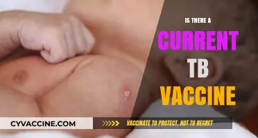 Exploring the Latest Advances in TB Vaccination: What You Need to Know