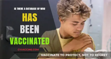 Vaccination Records: Exploring the Existence of a Centralized Database