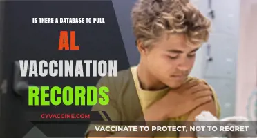 Accessing Vaccination Records: Is There a Centralized Database?