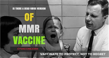 Dead Virus MMR Vaccine: Understanding Its Safety and Effectiveness