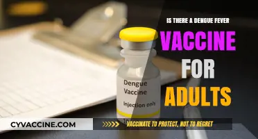 Dengue Fever Vaccine for Adults: Availability, Efficacy, and Protection