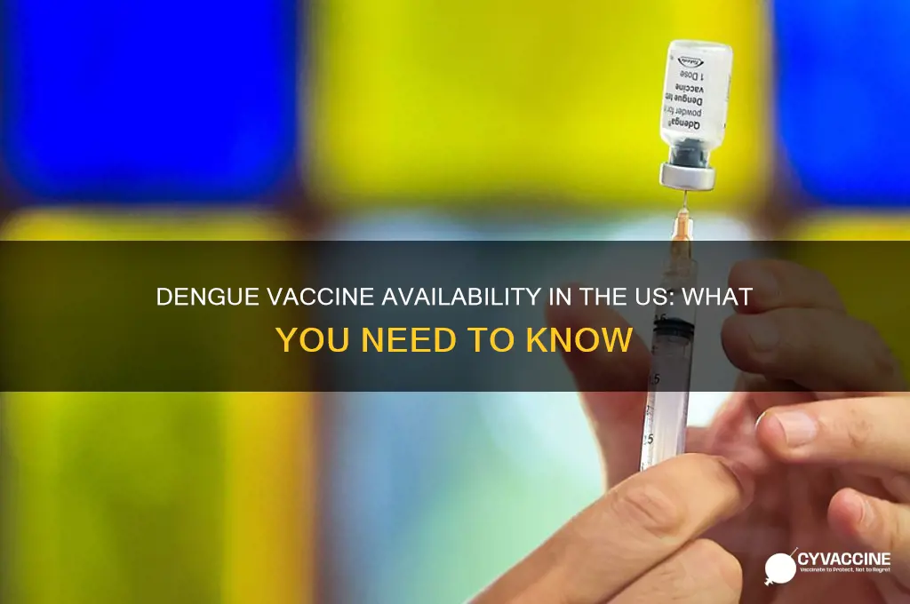 is there a dengue vaccine in the us
