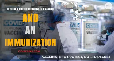 Vaccines vs. Immunization: Understanding the Key Differences and Benefits