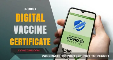 Exploring the Concept of Digital Vaccine Certificates: A Comprehensive Guide