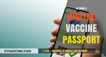 Exploring the Concept of a Digital Vaccine Passport: Facts and Myths