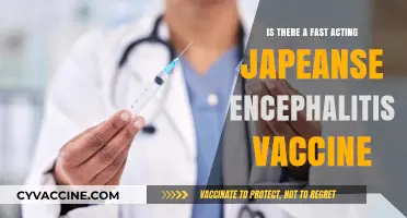 Quick Protection: Fast-Acting Japanese Encephalitis Vaccine Options Explored