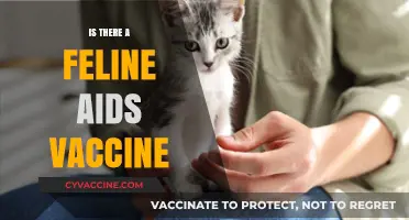 Advancements in Feline Immunology: The Quest for an AIDS Vaccine