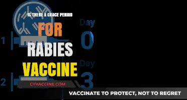 Rabies Vaccine Grace Period: How Long is it Safe?