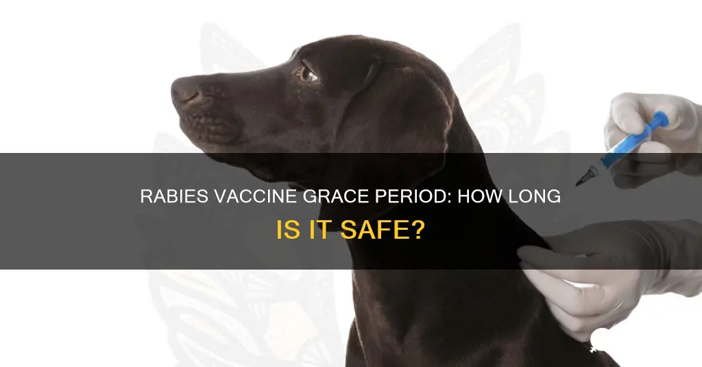is there a grace period for rabies vaccine
