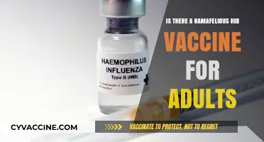 Exploring Adult Hib Vaccine Options: Is There a Haemophilus Influenzae Solution?