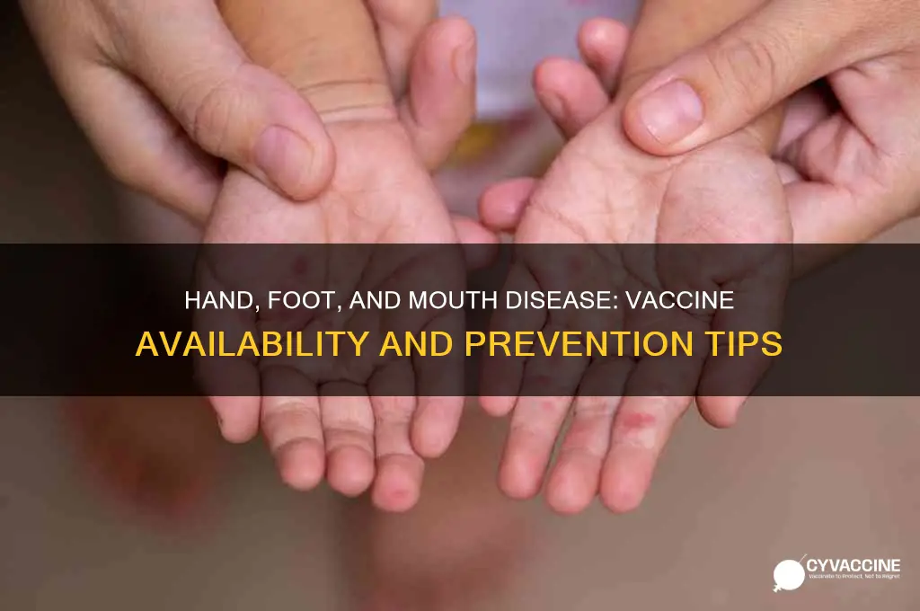 is there a hand foot and mouth vaccine