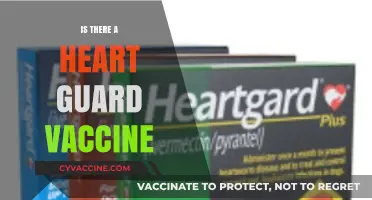 Exploring the Possibility of a Heart Guard Vaccine: Facts and Myths