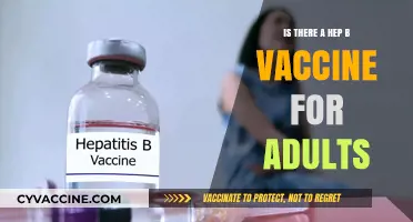 Hepatitis B Vaccine for Adults: Availability, Benefits, and Importance