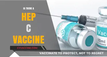 Hepatitis C Vaccine: Current Status and Future Prospects Explained