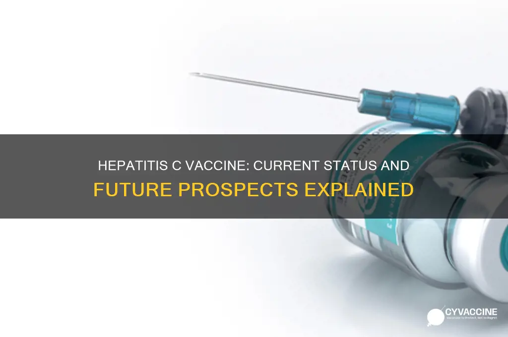 is there a hep c vaccine