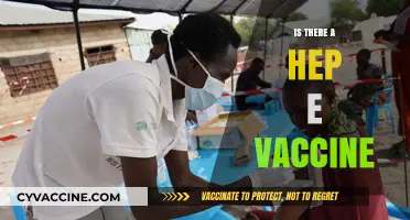 Hepatitis E Vaccine: Availability, Effectiveness, and Who Needs It?
