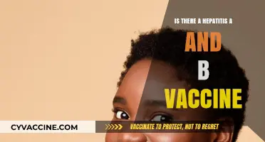 Hepatitis A and B Vaccines: Availability, Benefits, and Protection Explained