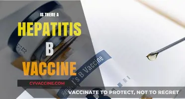Hepatitis B Vaccine: Availability, Effectiveness, and Importance Explained