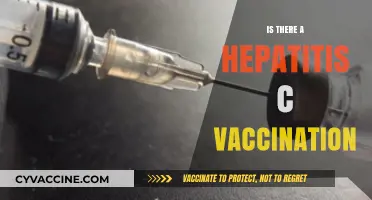 Exploring Hepatitis C Vaccination: Facts, Myths, and Prevention Strategies