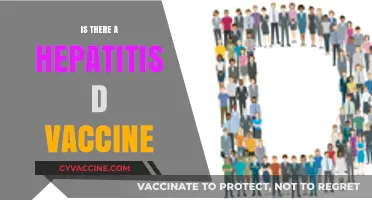 Hepatitis D Vaccine: Availability, Prevention, and Current Research Updates