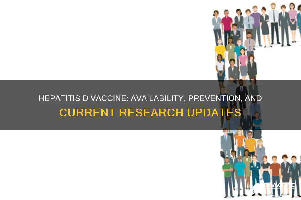 is there a hepatitis d vaccine