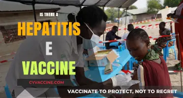 Hepatitis E Vaccine: Availability, Efficacy, and Global Health Implications