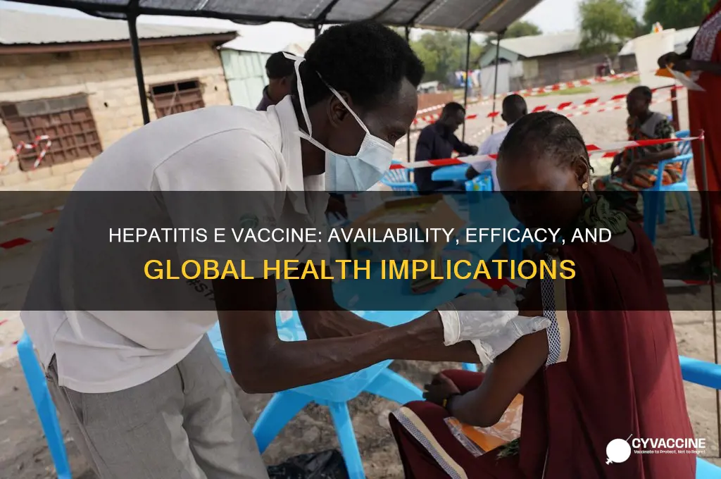 is there a hepatitis e vaccine