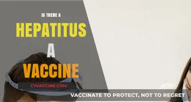 Protecting Your Liver: The Truth About Hepatitis A Vaccination