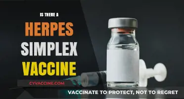 Exploring the Quest for a Herpes Simplex Vaccine: Hope on the Horizon?