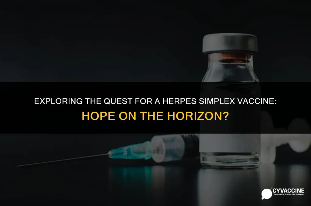 is there a herpes simplex vaccine