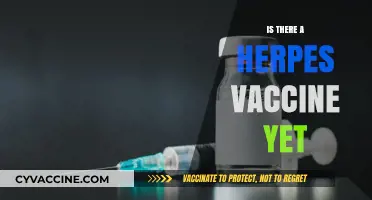 Exploring the Latest Advances: Is a Herpes Vaccine Finally Here?