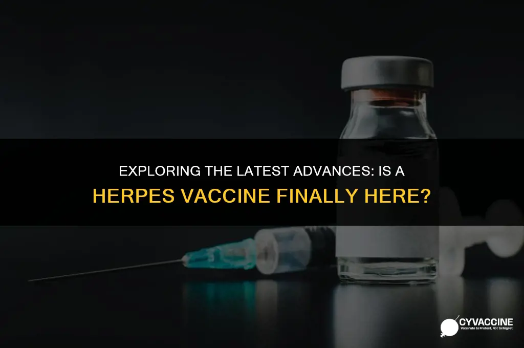 is there a herpes vaccine yet