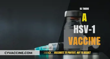 Exploring the Quest for an HSV-1 Vaccine: Hope or Hype?