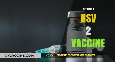 Exploring the Latest Advances: Is an HSV-2 Vaccine on the Horizon?