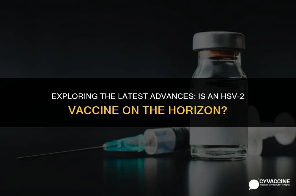 is there a hsv 2 vaccine
