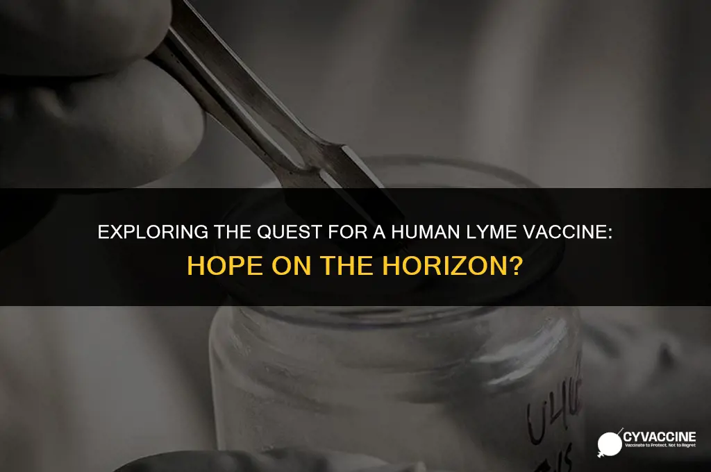 is there a human lyme vaccine