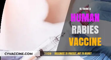 Human Rabies Vaccine: Availability, Effectiveness, and Prevention Explained