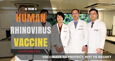 Exploring the Quest for a Human Rhinovirus Vaccine: Progress and Challenges