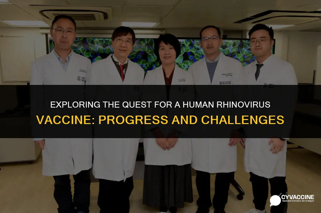 is there a human rhinovirus vaccine